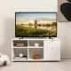 Image 3 for Тумба под телевизор Costway Nordic Media с 2 ящиками и открытыми полками белый